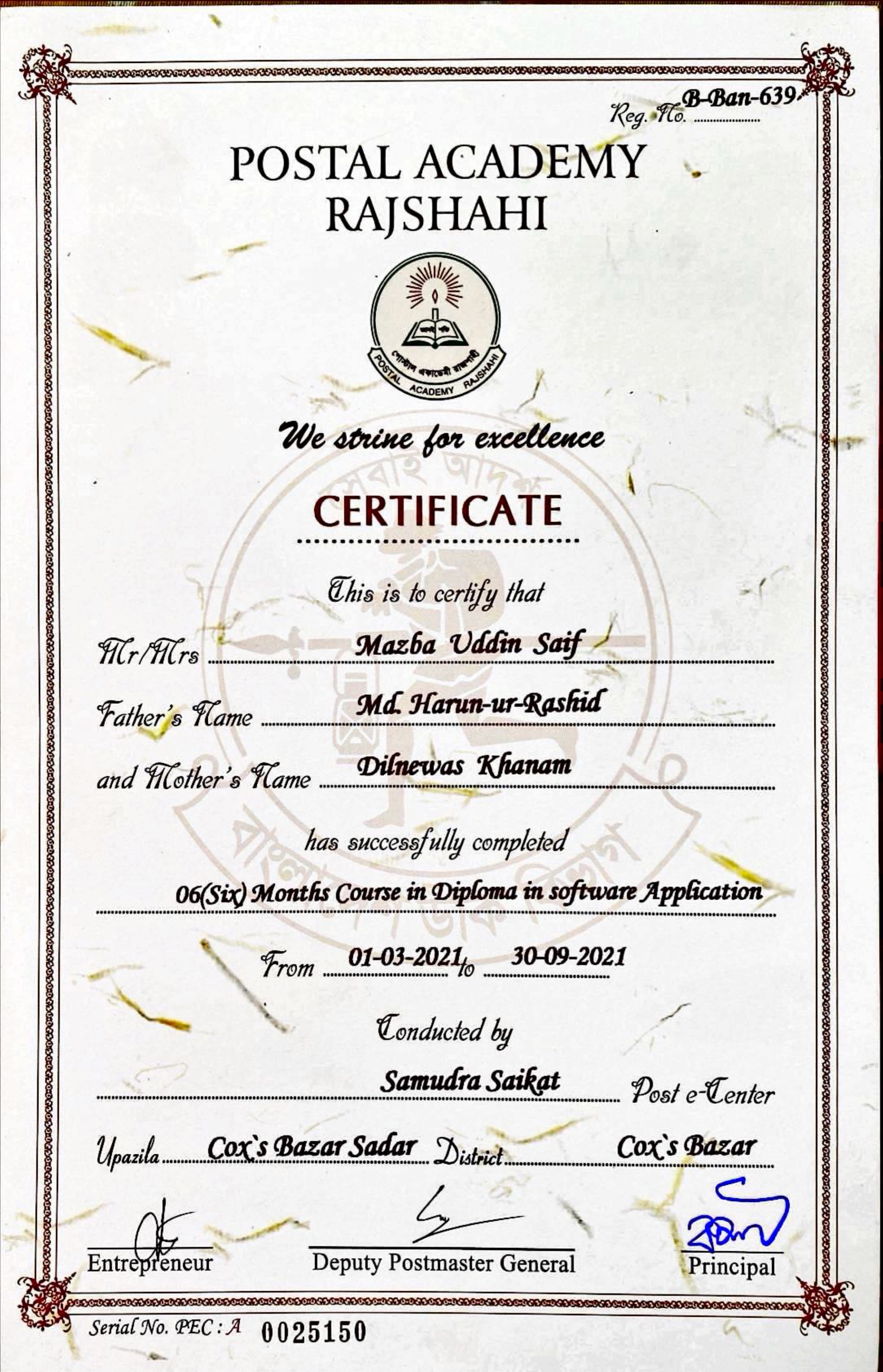 Diploma in Software Application